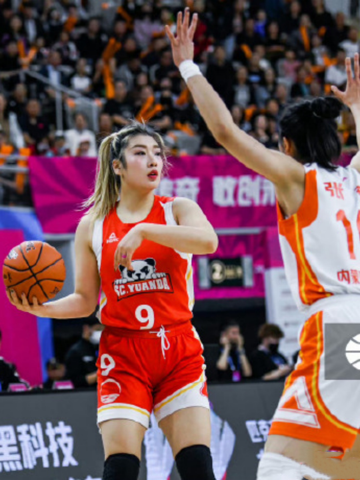 荷兰女篮战胜土耳其，取得重要胜利