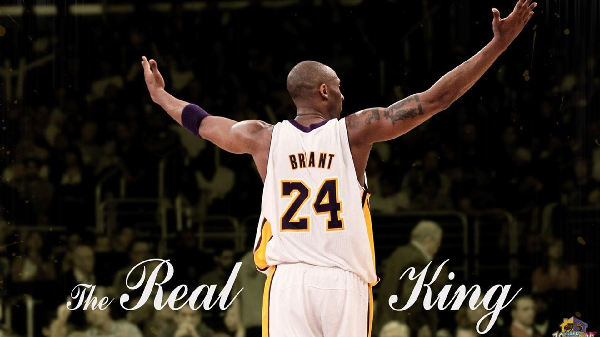 跨界传奇，当独行侠精神照亮欧冠战场—从辽宁到欧洲的接管者哲学